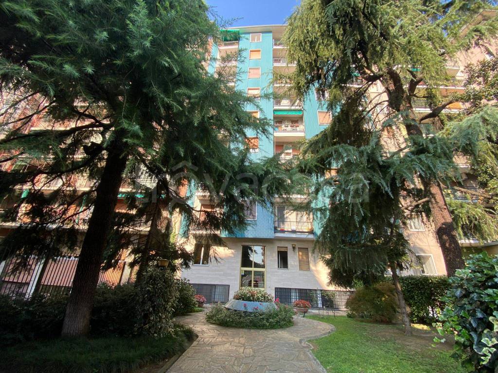 immagine annuncio 11 di 13