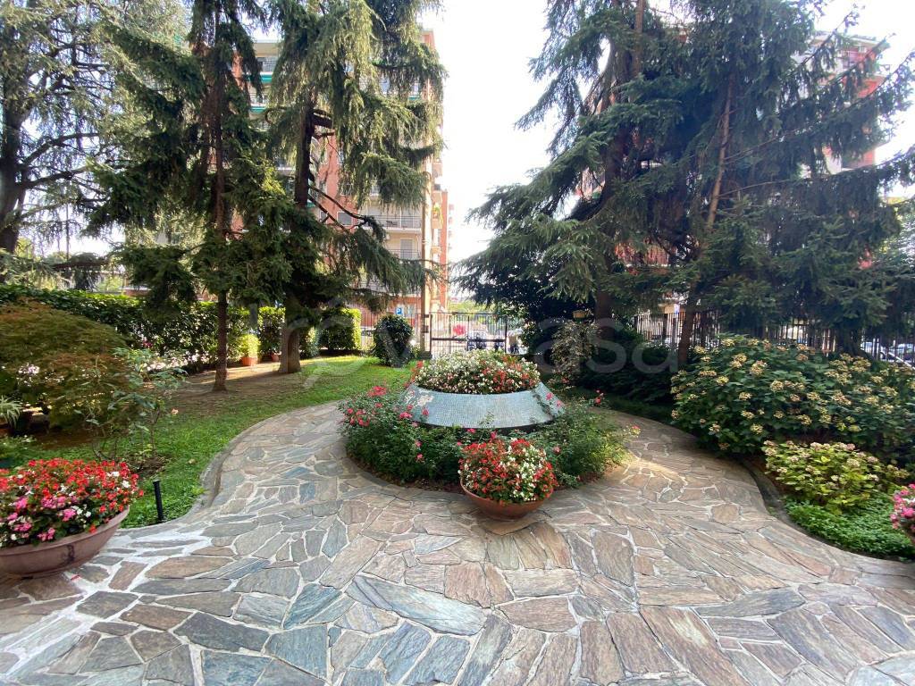 immagine annuncio 12 di 13