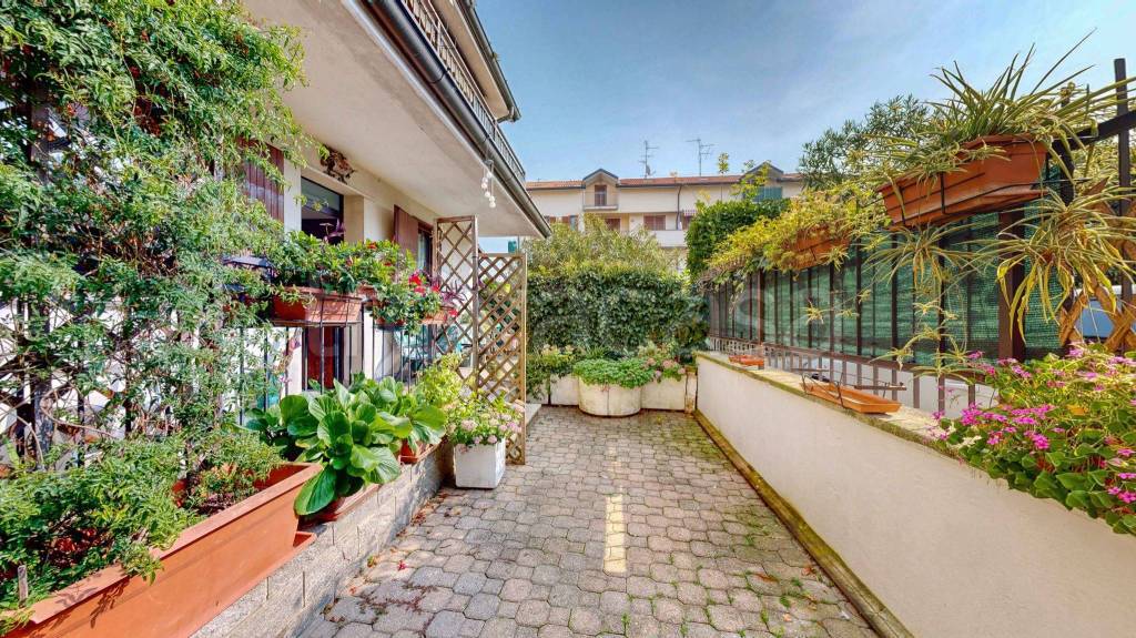 immagine annuncio 3 di 15