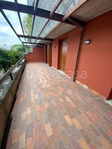 immagine annuncio 5 di 12