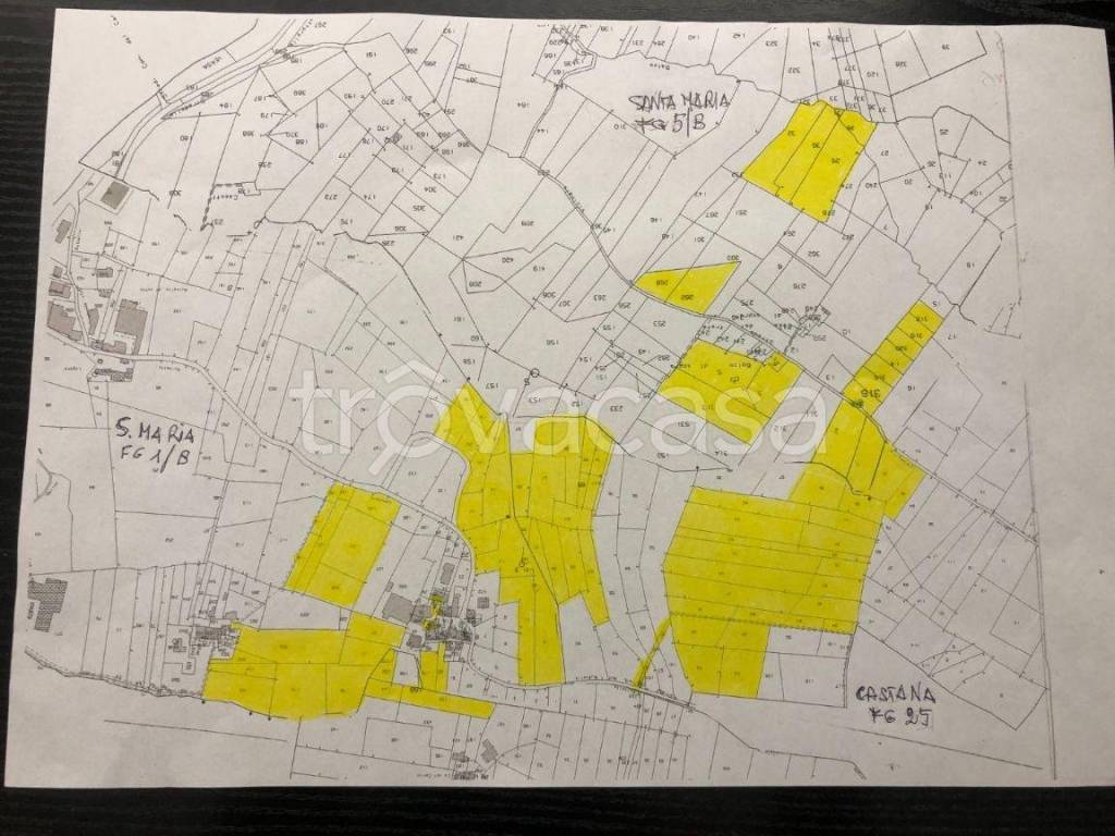 immagine annuncio 4 di 7