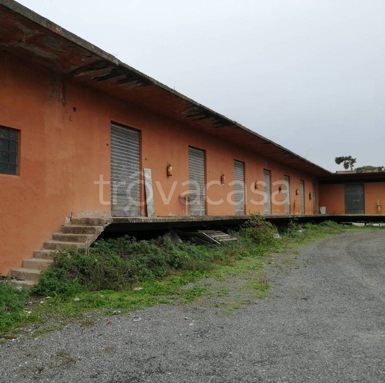 immagine annuncio 1 di 6