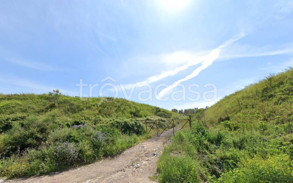 immagine annuncio 4 di 6