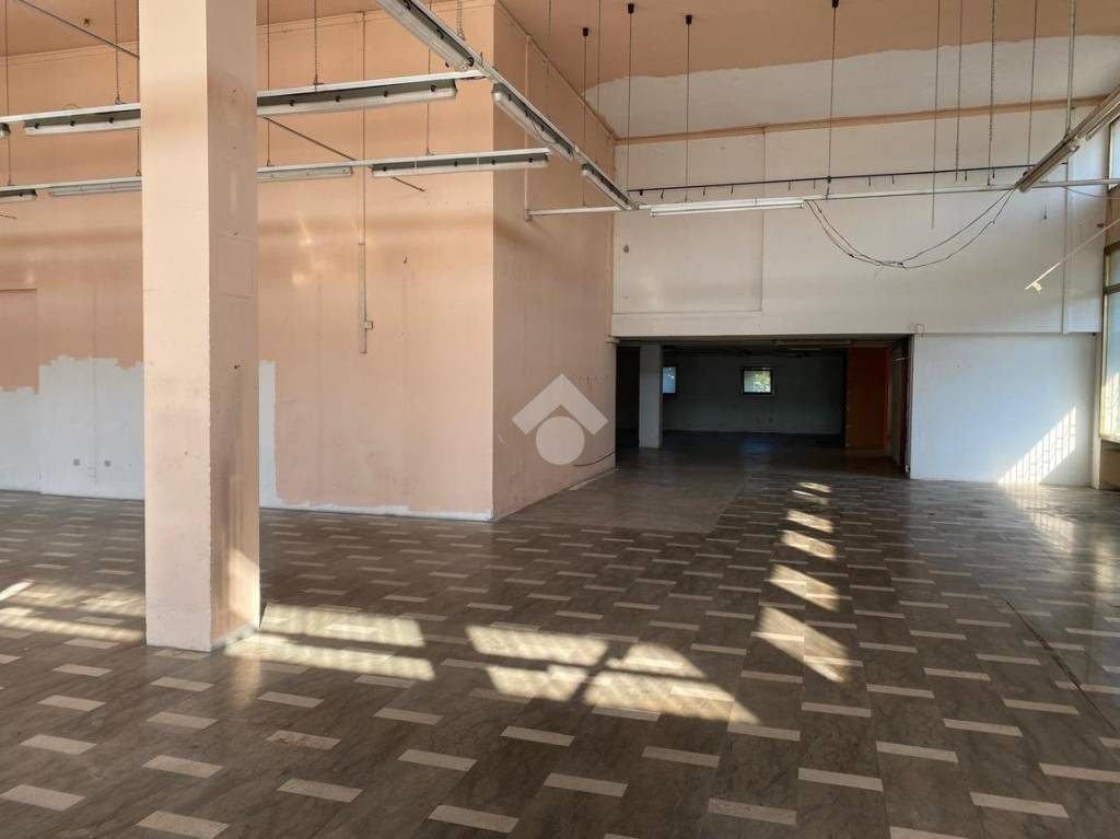 immagine annuncio 2 di 14