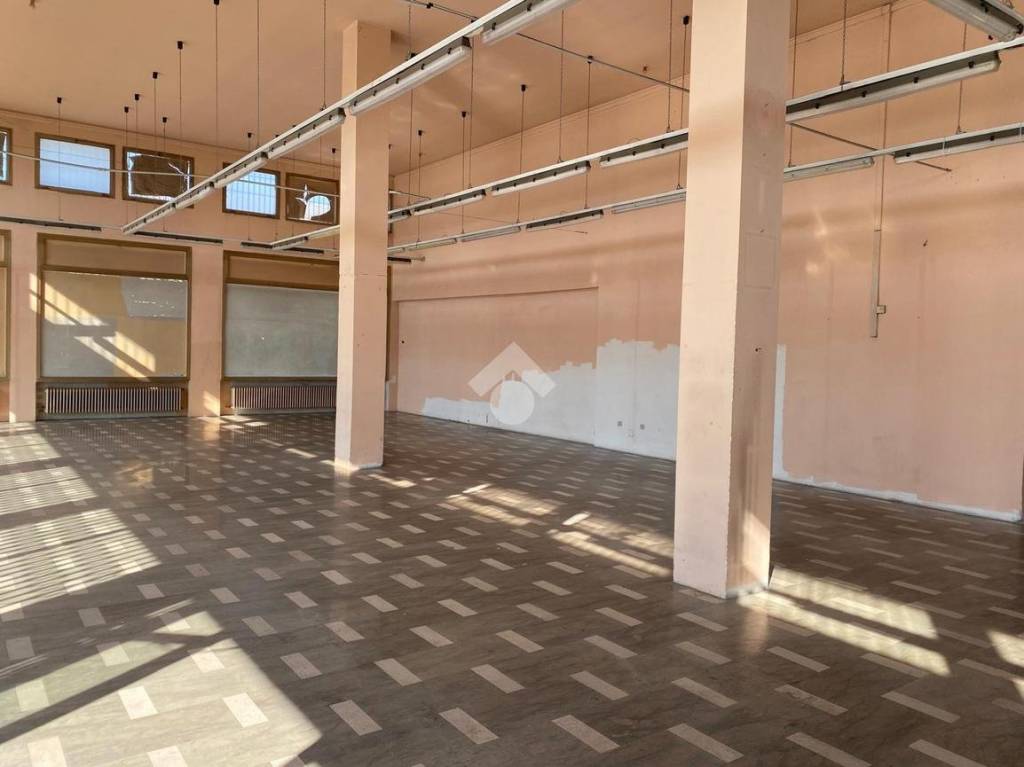 immagine annuncio 3 di 14