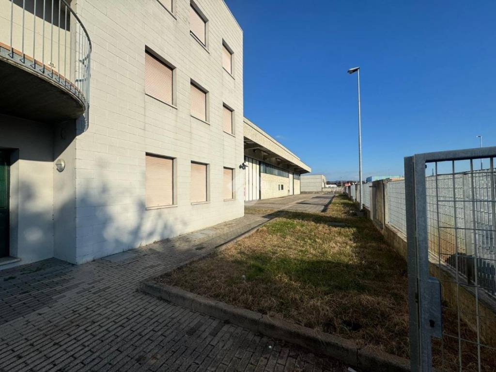 immagine annuncio 11 di 15