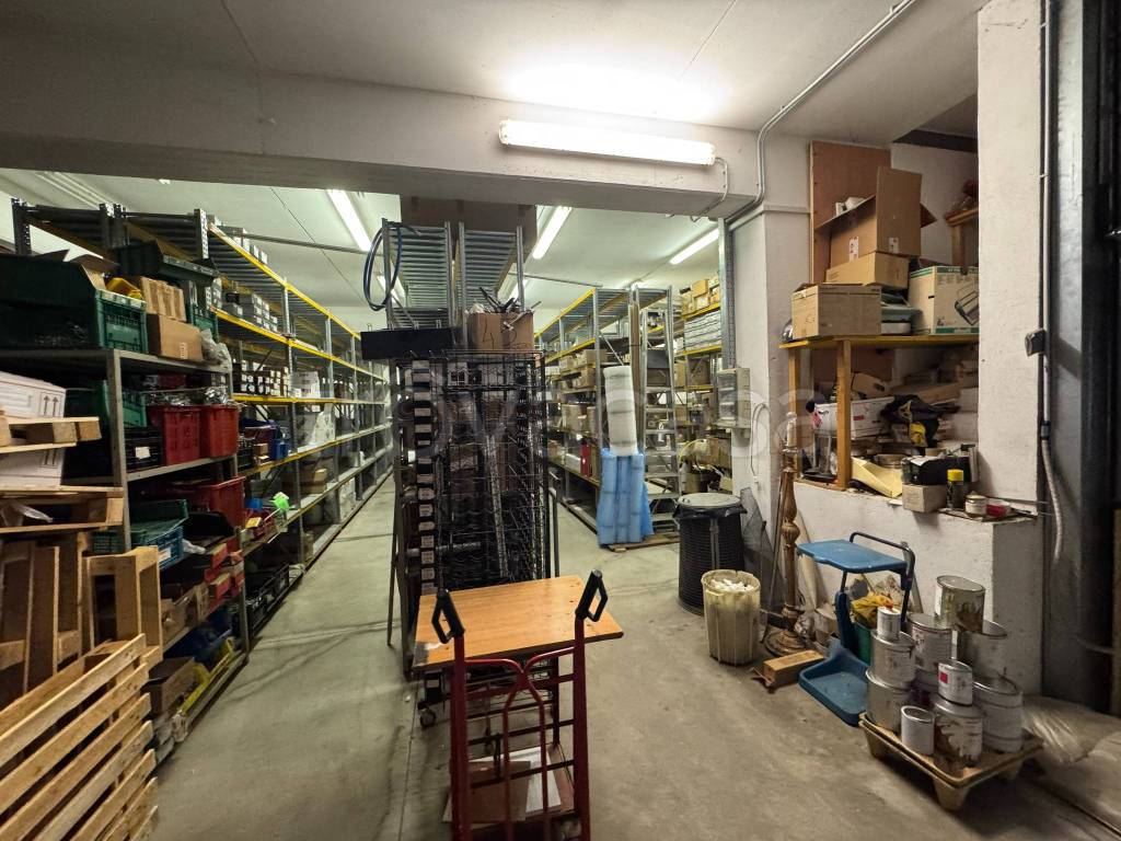 immagine annuncio 11 di 15