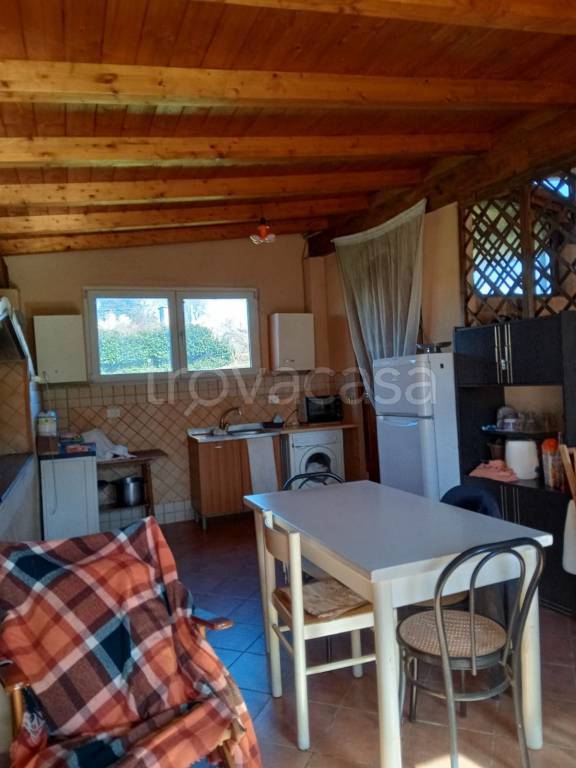 immagine annuncio 7 di 12