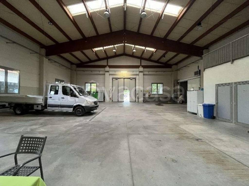 immagine annuncio 9 di 15