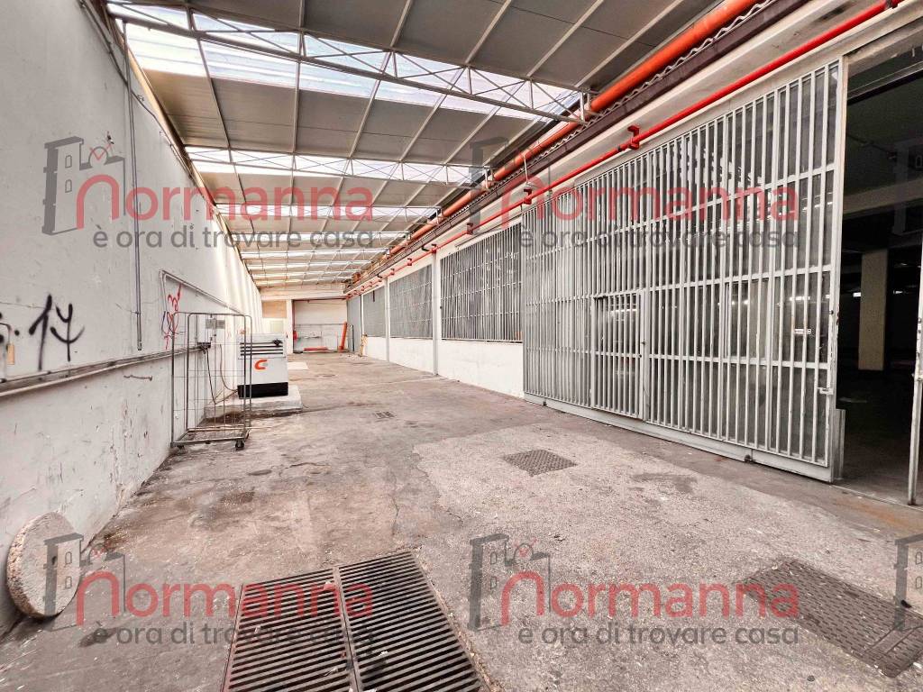 immagine annuncio 10 di 13