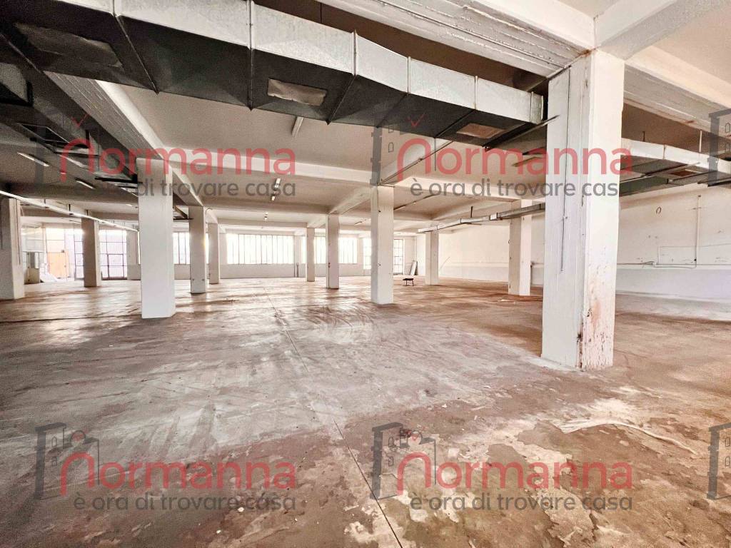 immagine annuncio 4 di 13