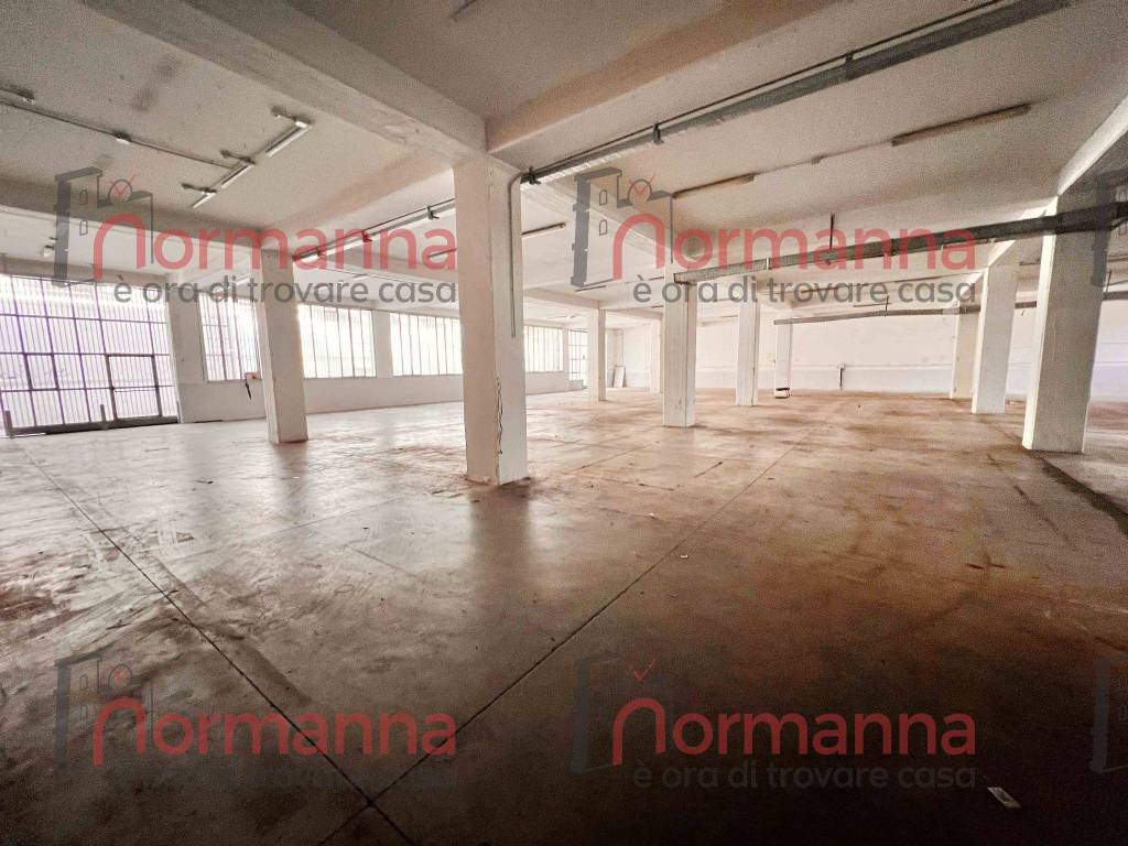 immagine annuncio 7 di 13