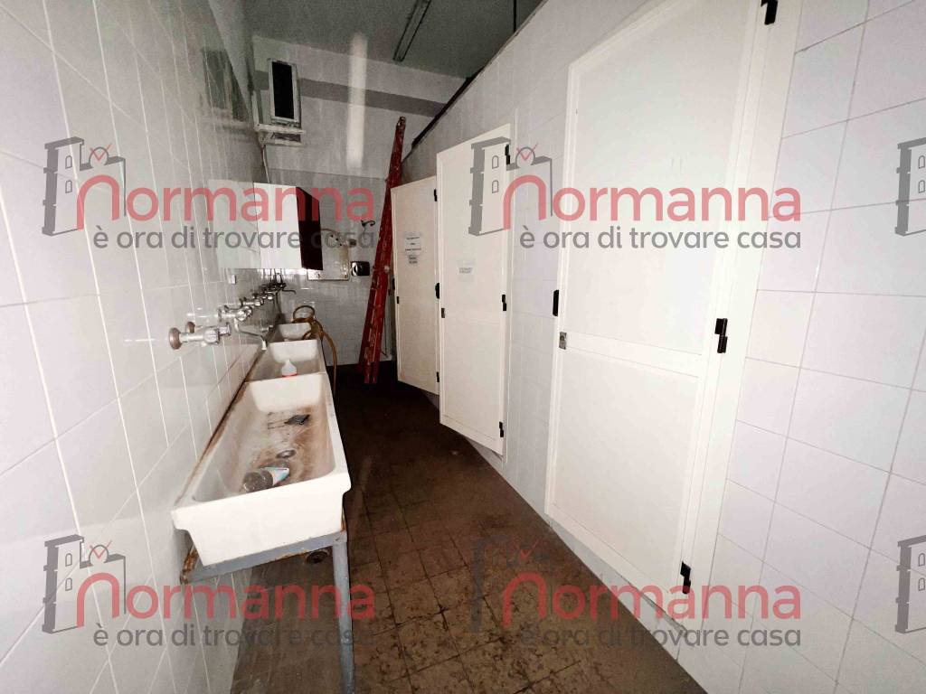 immagine annuncio 8 di 13