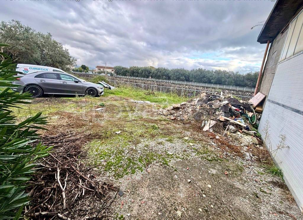 immagine annuncio 4 di 8