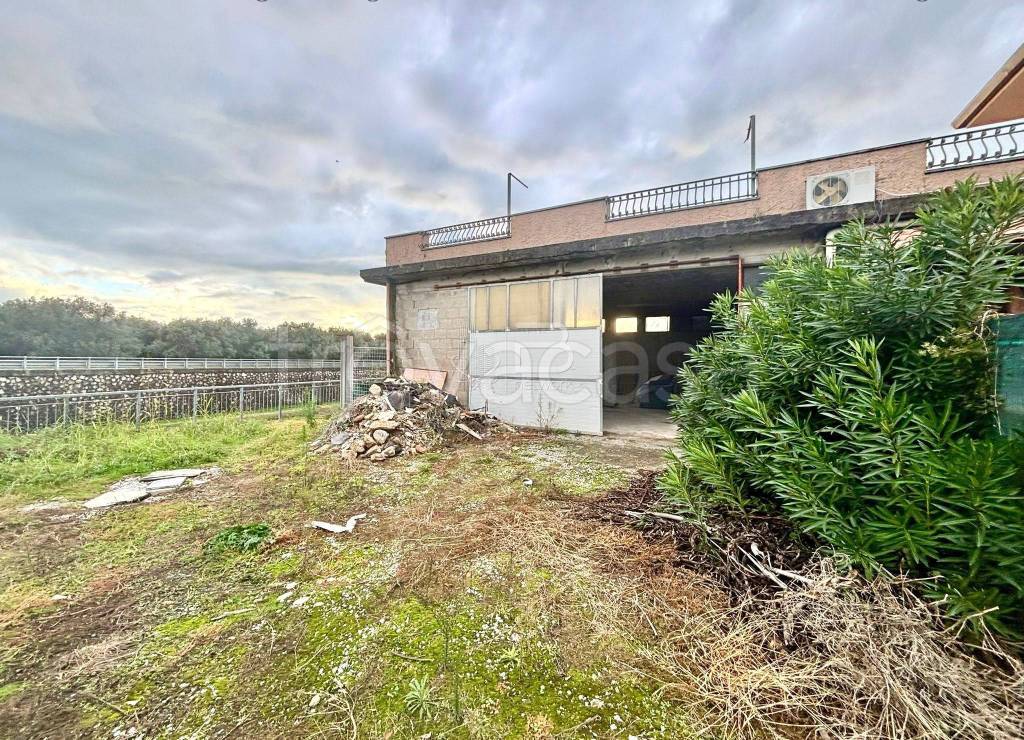 immagine annuncio 6 di 8