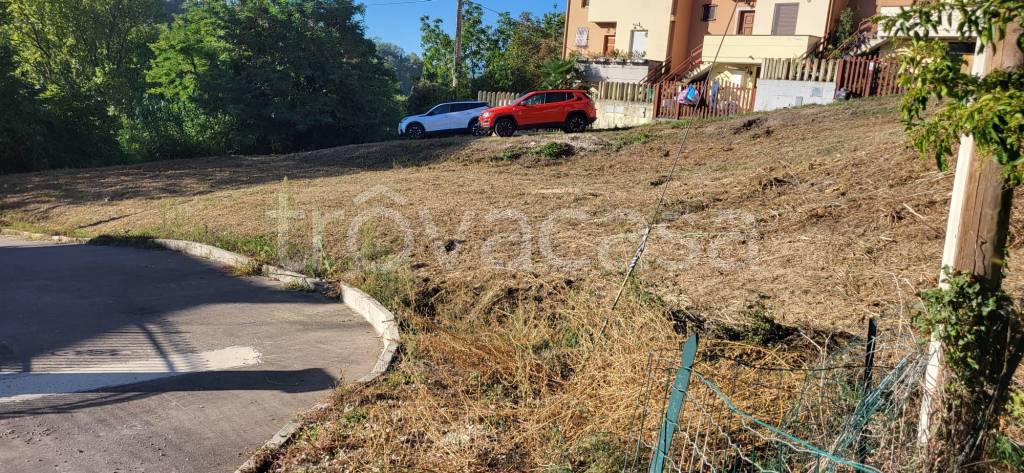 immagine annuncio 1 di 3