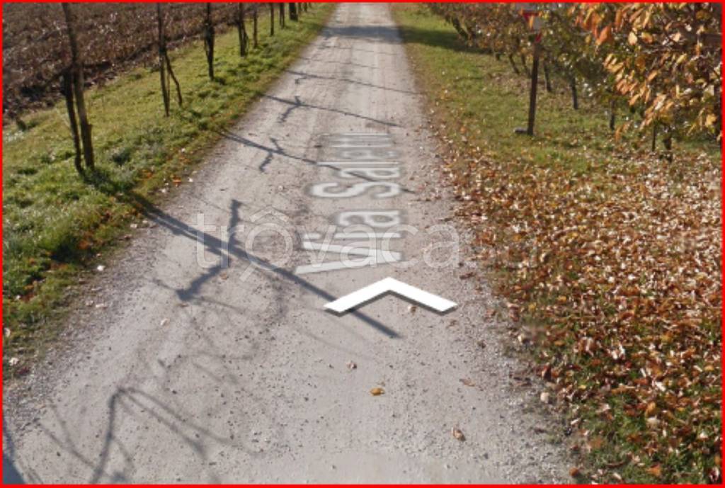 immagine annuncio 9 di 12