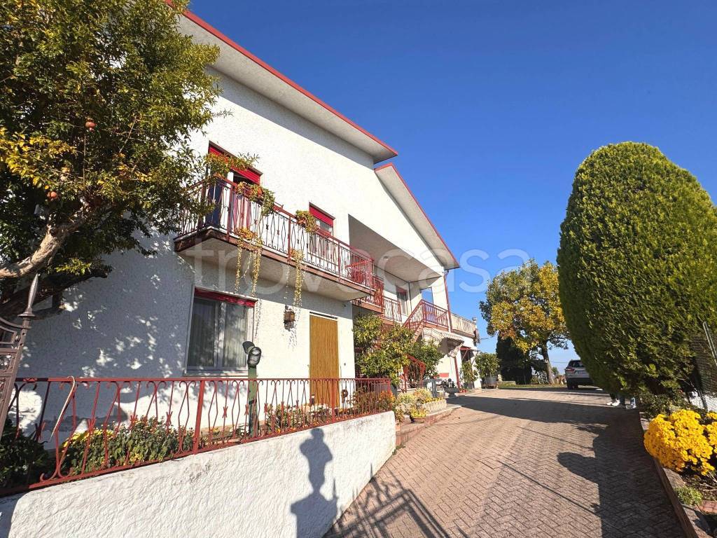 immagine annuncio 11 di 14