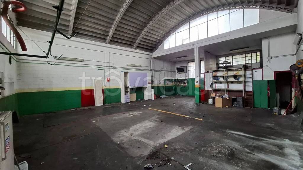 immagine annuncio 1 di 13