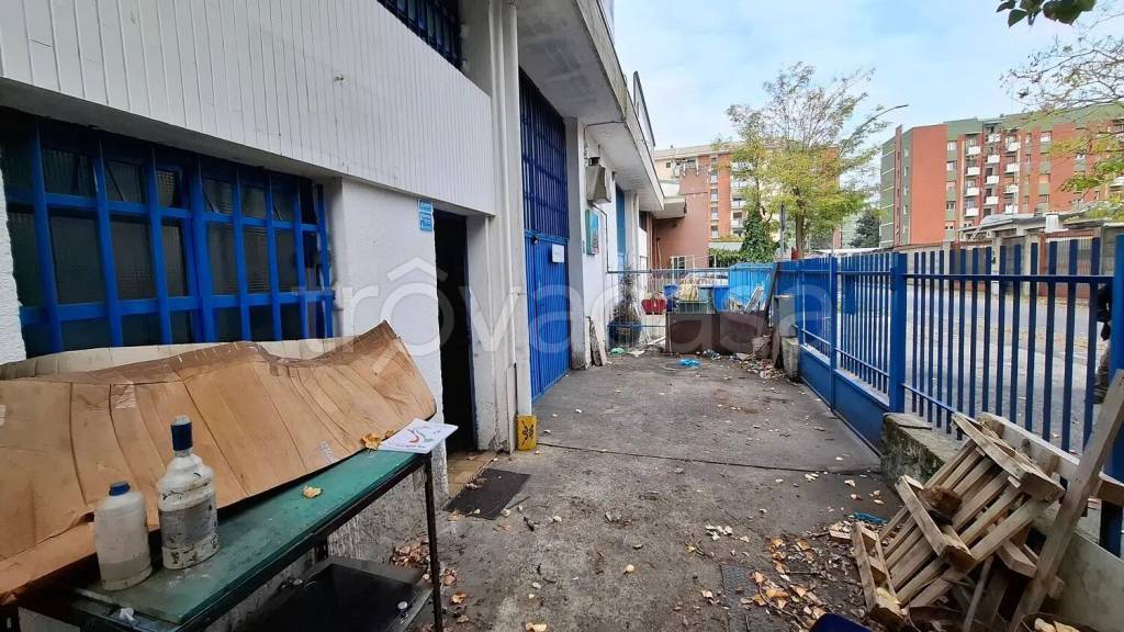 immagine annuncio 9 di 13