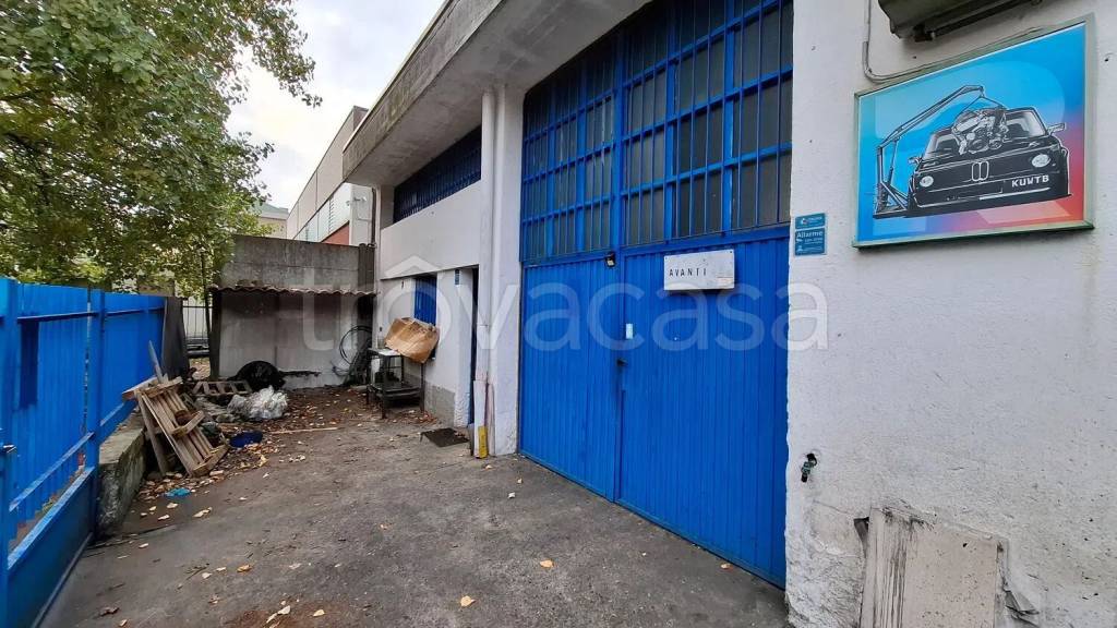 immagine annuncio 10 di 13