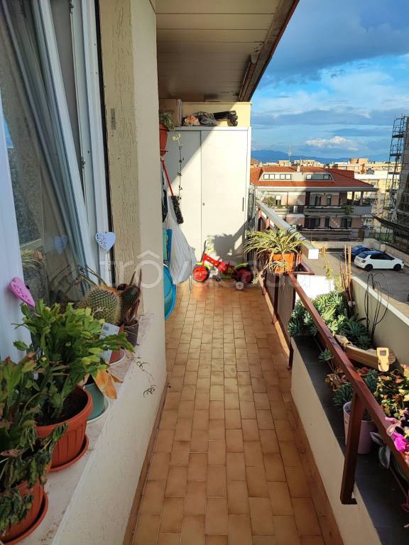 immagine annuncio 12 di 14