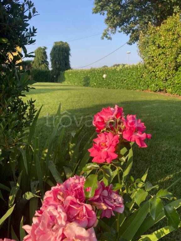 immagine annuncio 4 di 12