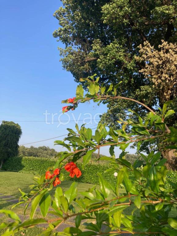 immagine annuncio 7 di 12