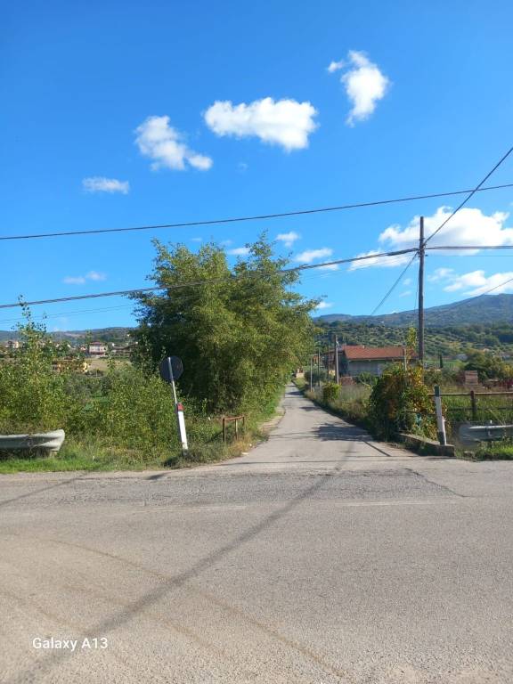 immagine annuncio 4 di 6