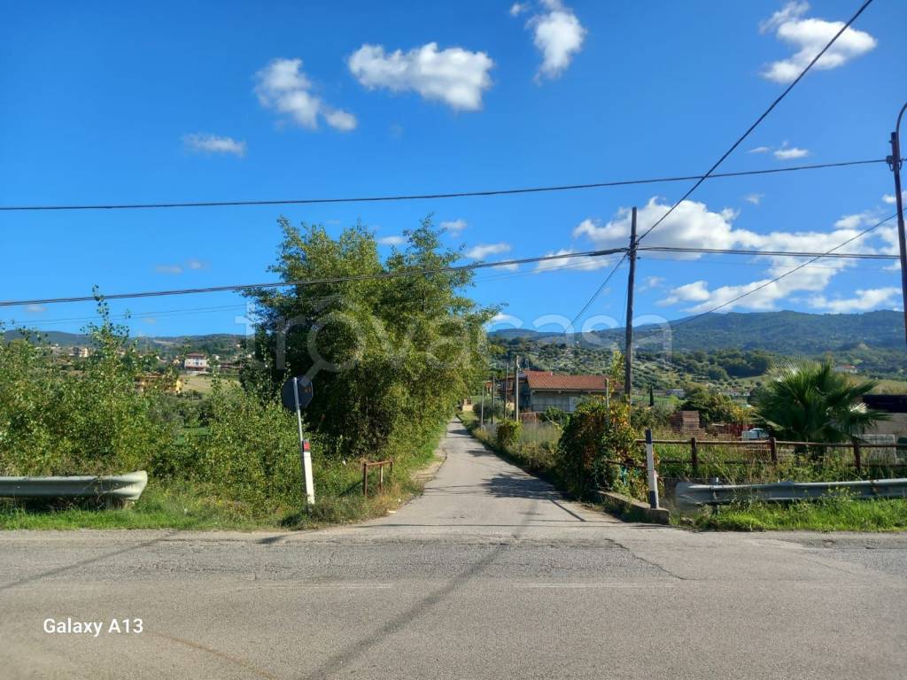 immagine annuncio 5 di 6