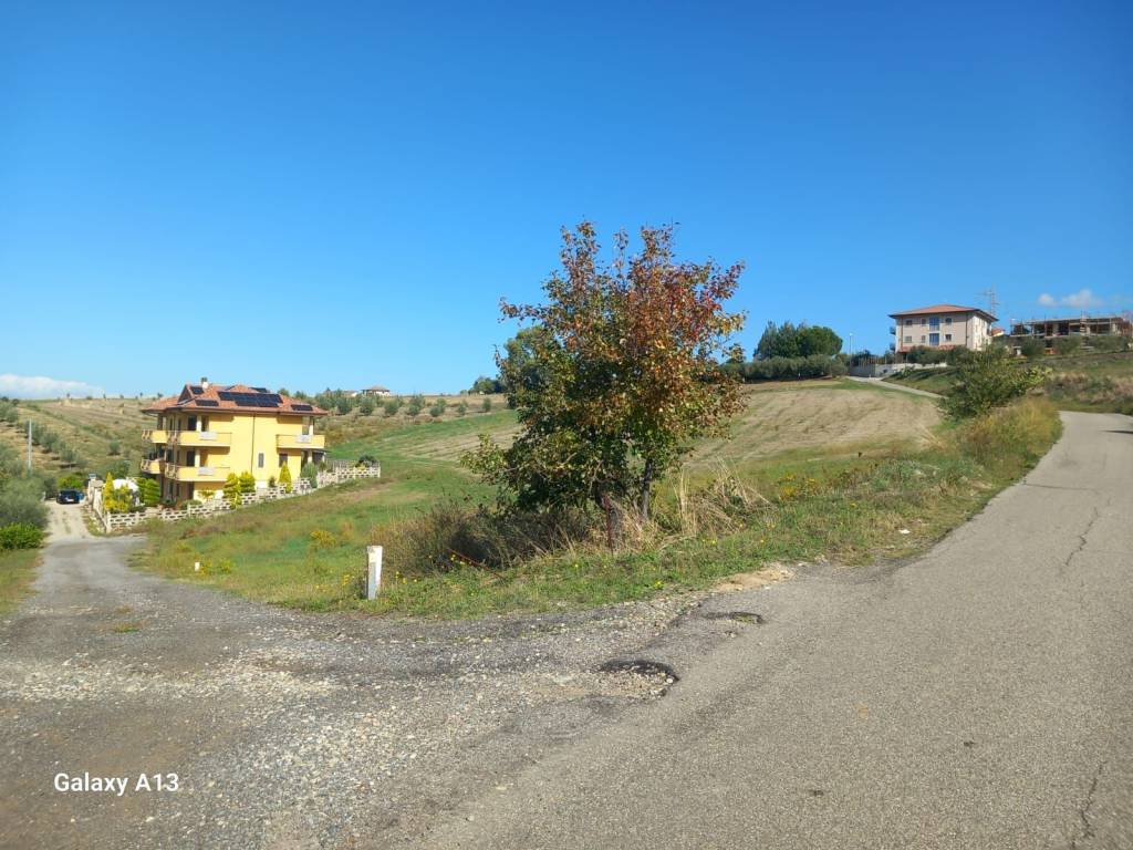 immagine annuncio 1 di 6