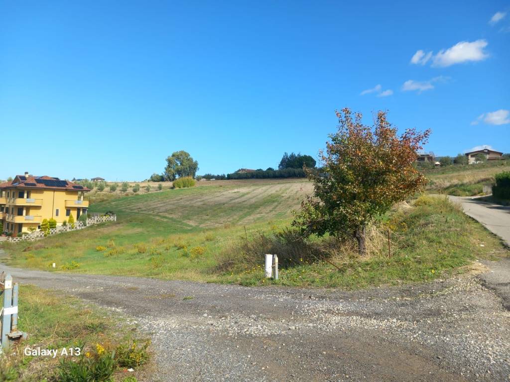 immagine annuncio 2 di 6