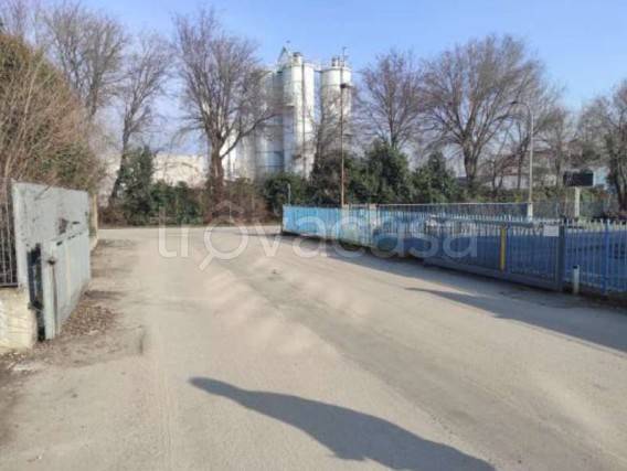 immagine annuncio 2 di 13