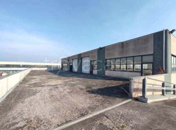 immagine annuncio 7 di 13