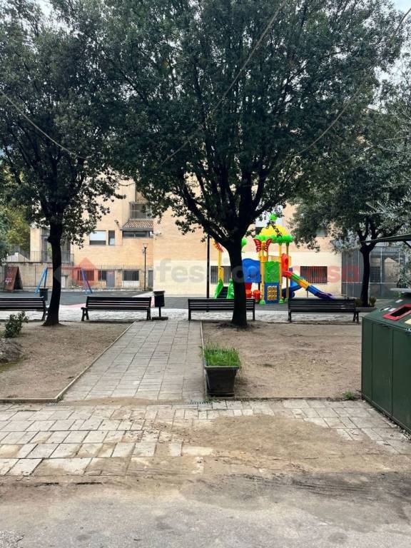 immagine annuncio 5 di 8