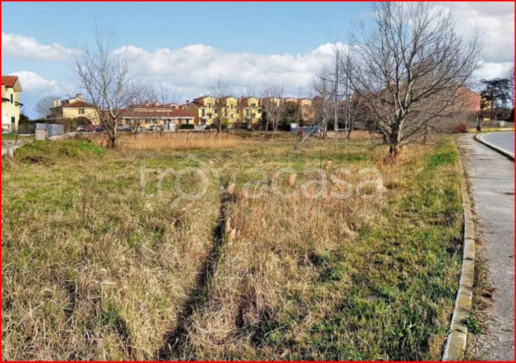 immagine annuncio 5 di 11