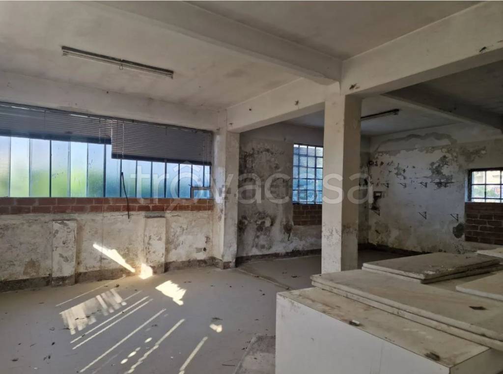 immagine annuncio 9 di 14