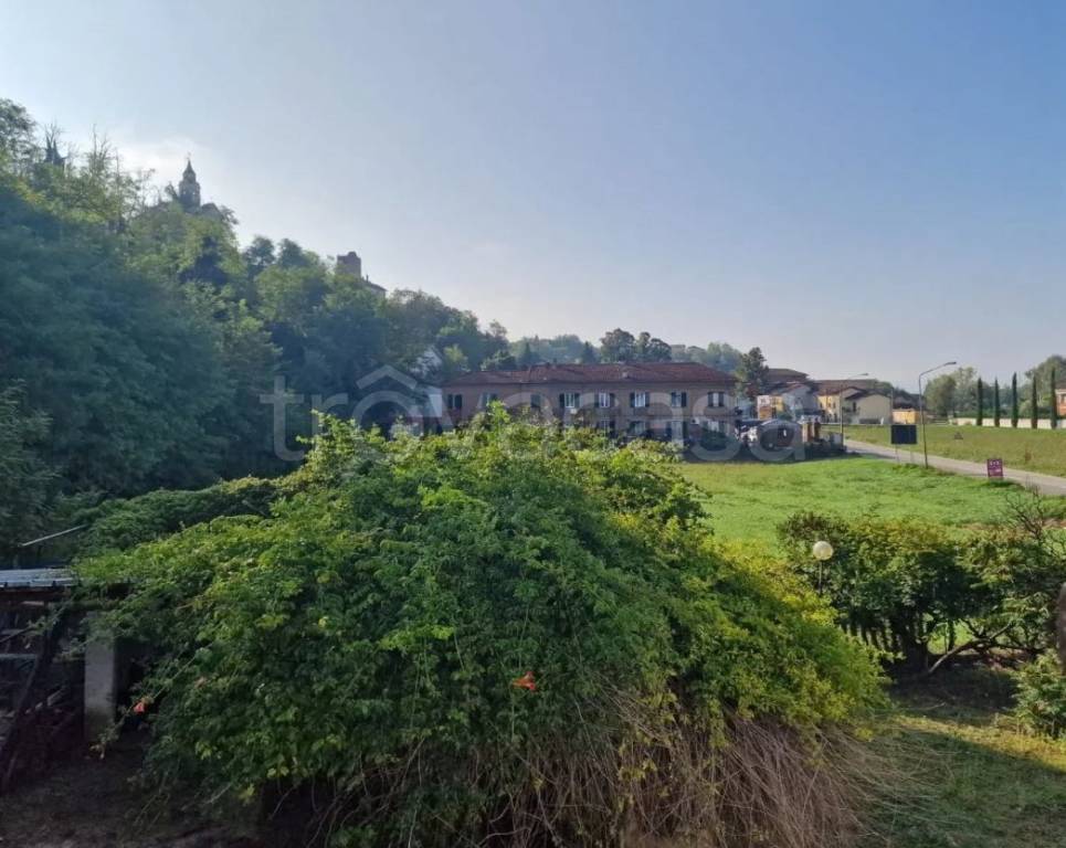 immagine annuncio 12 di 14