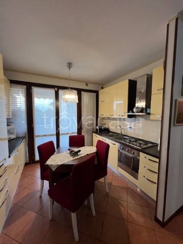 immagine annuncio 3 di 12