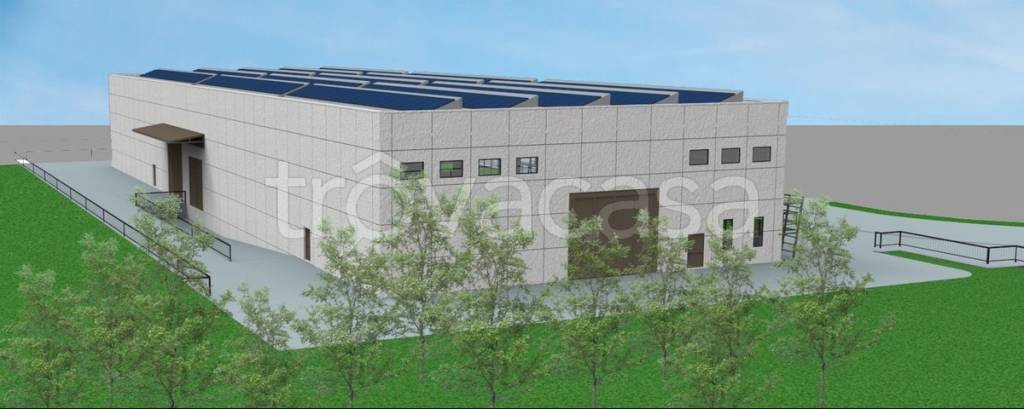 immagine annuncio 8 di 12