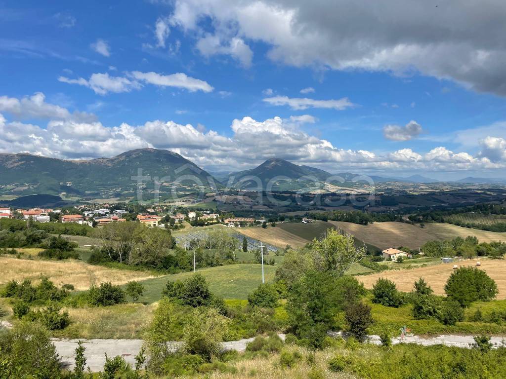 immagine annuncio 9 di 13