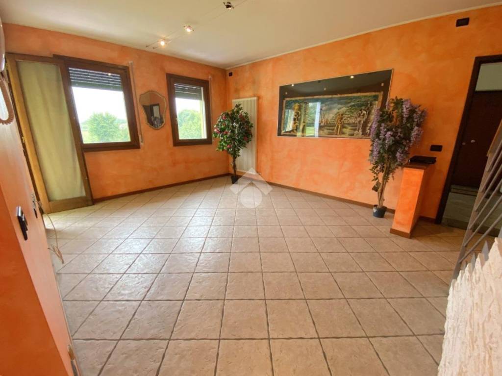 immagine annuncio 3 di 9