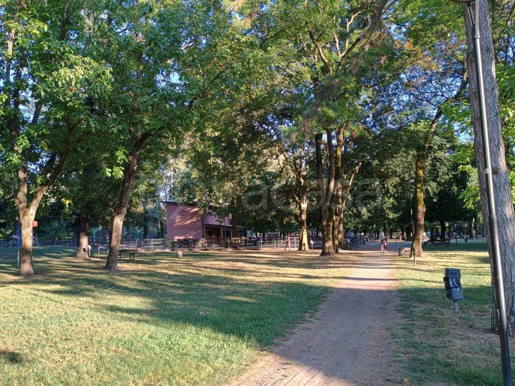 immagine annuncio 3 di 11