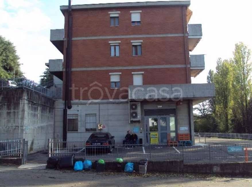 immagine annuncio 5 di 8