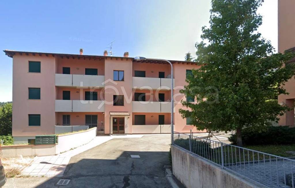 immagine annuncio 12 di 13