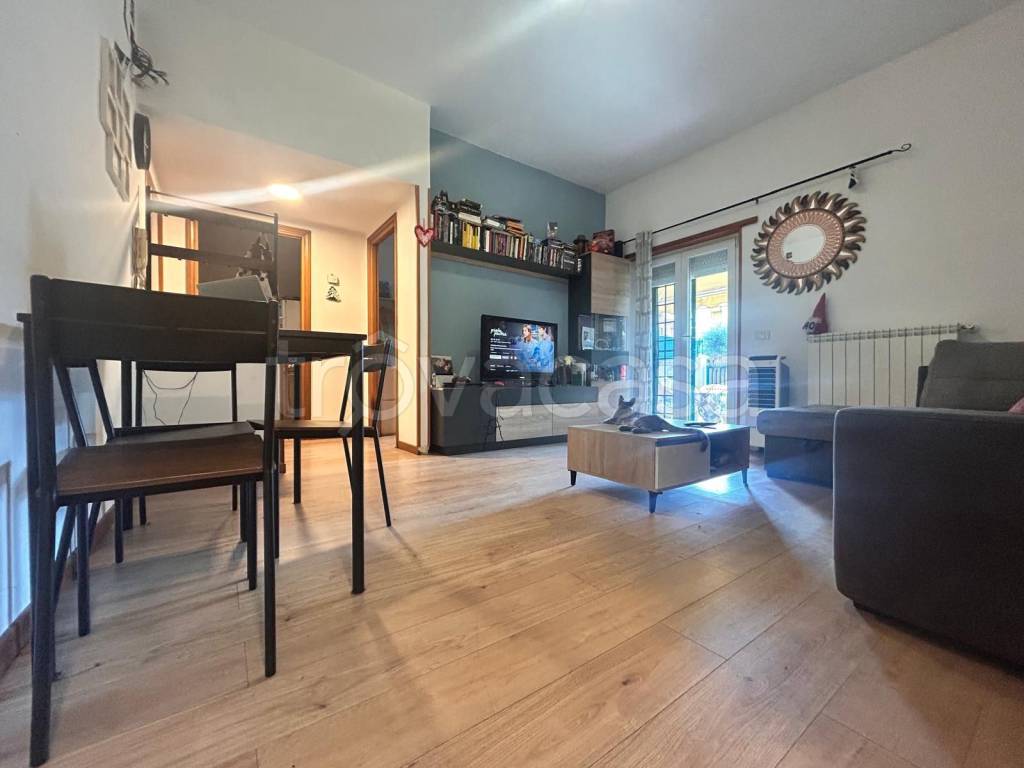 immagine annuncio 2 di 13