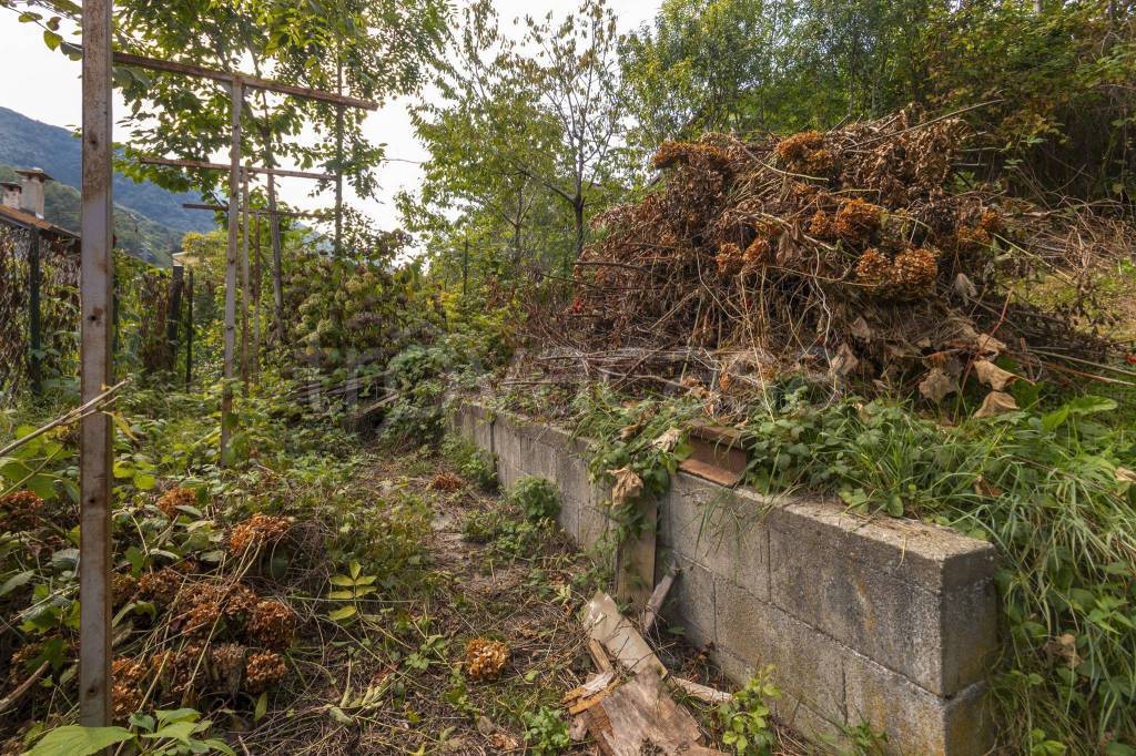 immagine annuncio 9 di 13