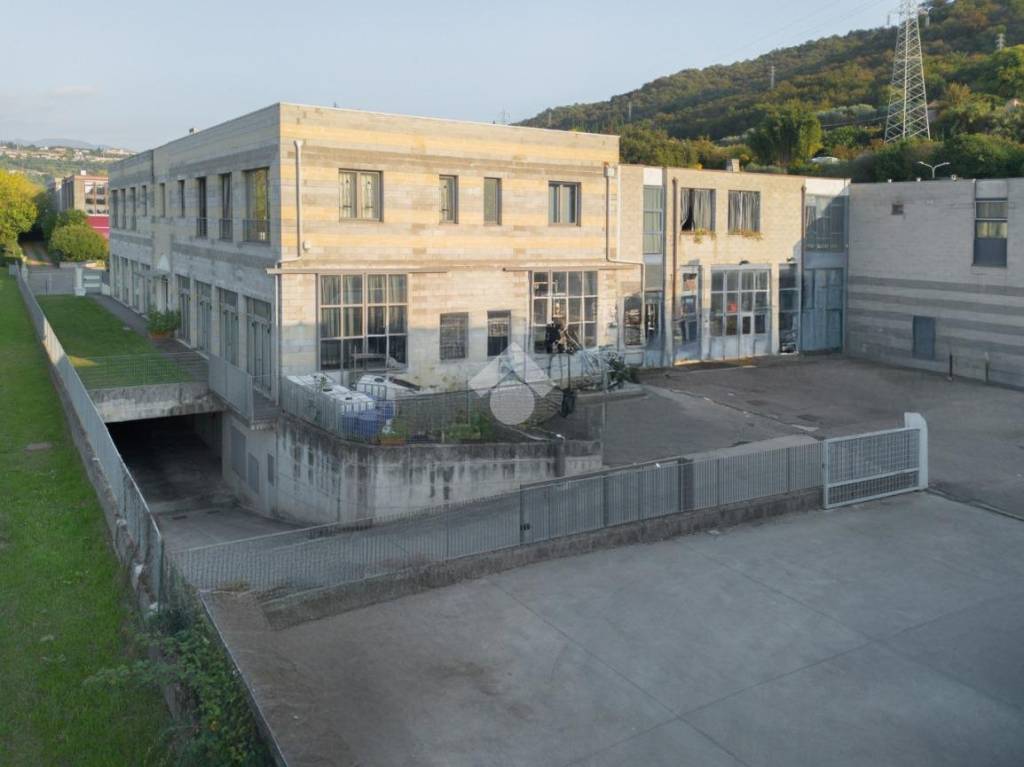 immagine annuncio 10 di 14