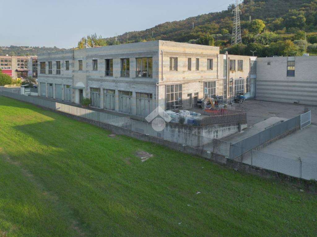 immagine annuncio 11 di 14