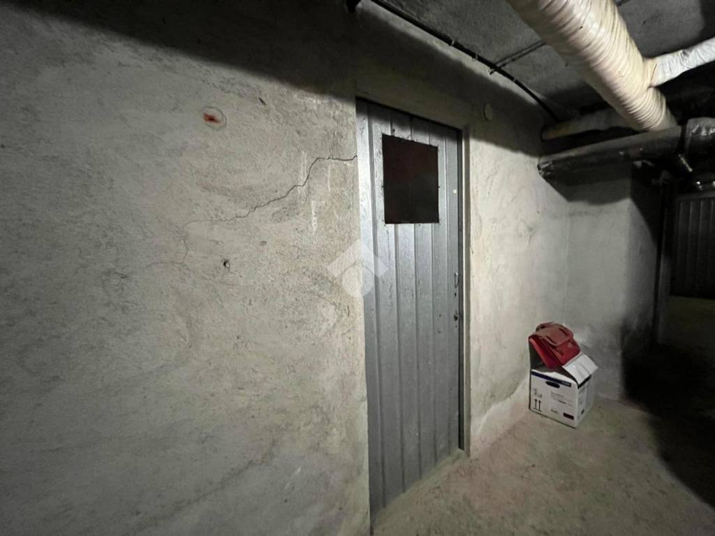 immagine annuncio 12 di 14